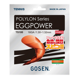 EGGPOWER 16 エッグパワー16(TS100)