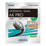 AK PRO 16 エーケープロ16(TS706)