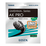 AK PRO 16 エーケープロ16(TS706)