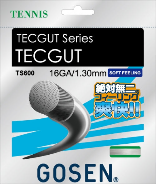 TECGUT 16(TS600)