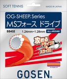 MSフォースドライブ(SS432)